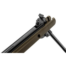Пневматична гвинтівка Gamo Big Cat 1000-E Barricade Combo (4.5мм)
